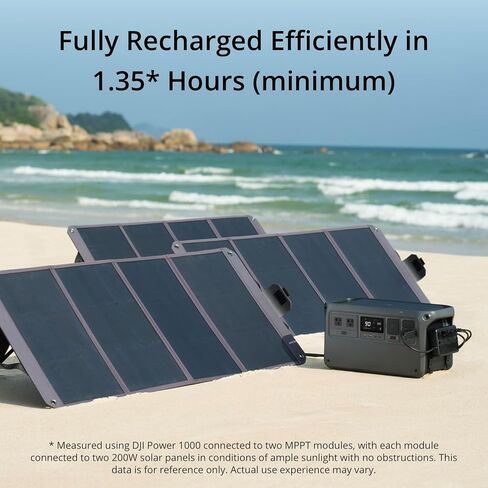 Zignes 100W Solar Panel in Saudi Arabia