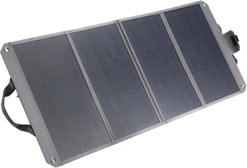 Zignes 100W Solar Panel in Saudi Arabia