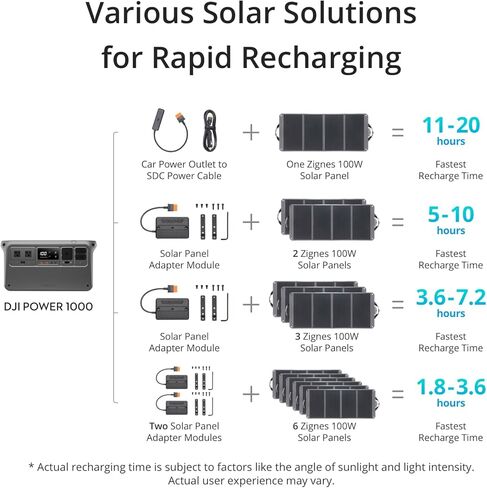 Zignes 100W Solar Panel in Saudi Arabia