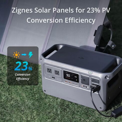 Zignes 100W Solar Panel in Saudi Arabia