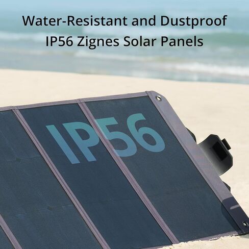 Zignes 100W Solar Panel in Saudi Arabia