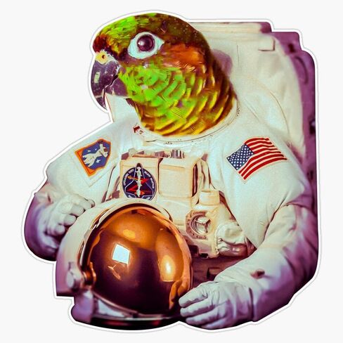 MAGNET Astro Party Parrot Green Cheek Conure Magnetic Vinyl Sticker Decal Magnet 5" in Saudi Arabia