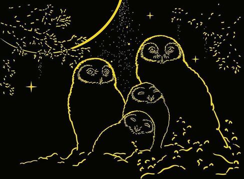Ravensburger Owls in The Moonlight - 500 Piece Glow-in-The-Dark Jigsaw Puzzle | Mysterious Nocturnal Beauty | Softclick Technology in Saudi Arabia