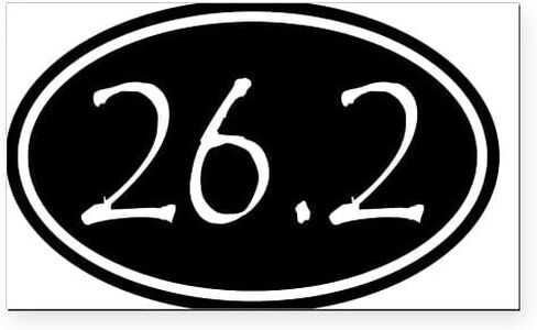 CafePress Black 26.2 Oval Rectangle Car Bumper Magnet in Saudi Arabia