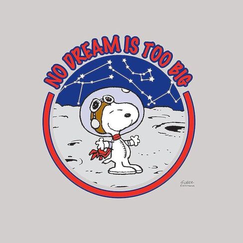 CafePress Peanuts No Dream is Too Big 5.5" Round Car Magnet Magnetic Bumper Display in Saudi Arabia