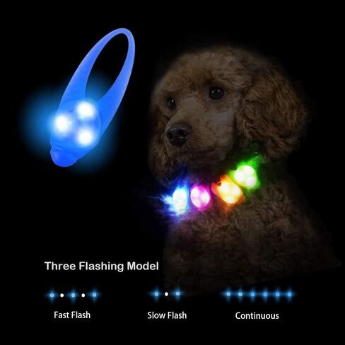 LaRoo Dog LED Safety Blinker Light for Night Walking,3 Modes Cute Filbert Night Light Silicon Waterproof Flashing Light Up Pendant Clip on Dog Collar Charms in Saudi Arabia