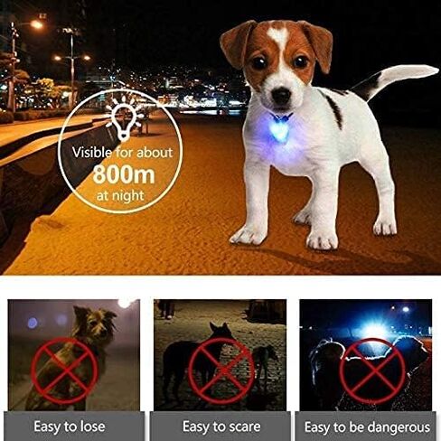 LaRoo Dog LED Safety Blinker Light for Night Walking,3 Modes Cute Filbert Night Light Silicon Waterproof Flashing Light Up Pendant Clip on Dog Collar Charms in Kuwait