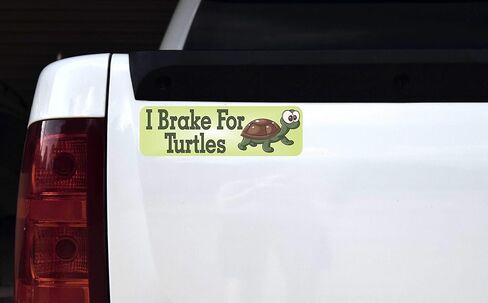 StickerTalk I Break for Turtles Magnet, 10 inches by 3 inches in Saudi Arabia