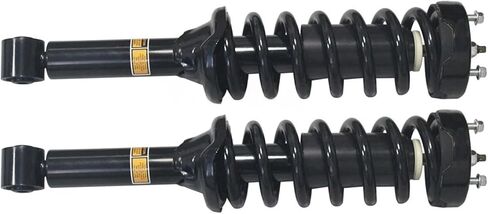 For Land Rover Discovery 3 L319 2004 2PCS Front or Rear Coil Spring Shock Absorber Assembly without EDC RNB000498 RPD500046(1 pair rear) in Saudi Arabia