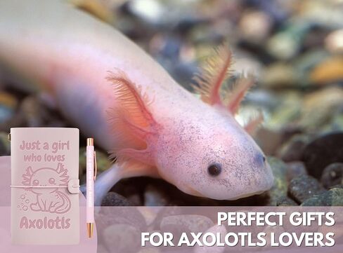 هدايا InnoBeta Axolotl للفتيات، دفتر يوميات مع قلم، دفتر رسم قابل لإعادة الملء، مذكرات سفر، مخطط مبطن، 7x5 بوصة، وردي in Saudi Arabia