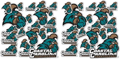 Desert Cactus Coastal Carolina University Chanticleers CCU Stickers Vinyl Decals Laptop Water Bottle Car Scrapbook T1 (Type 1-1) in Saudi Arabia