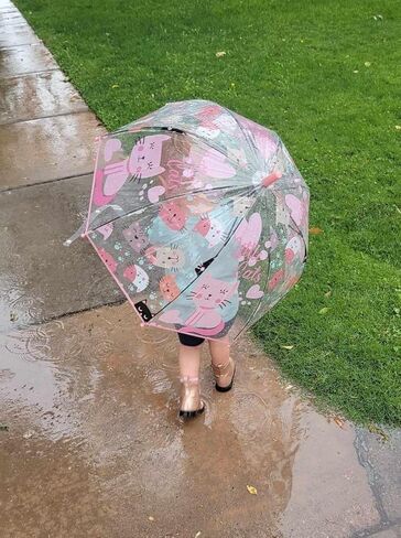 Clear Bubble Umbrellas for Rain,Transparent Dome Safety Windproof Umbrella with Easy-Grip Hook Handle for Christmas in Saudi Arabia