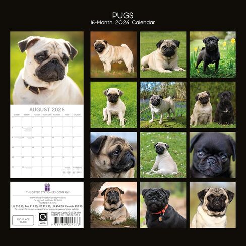 The Gifted Stationery 16 Month Square Wall Calendar - Pug Artwork & 2026 Calendar - 180 Planner Stickers & 2026 Wall Planner - 12 x 12 in, Sept 2025-Dec 2026 in Saudi Arabia