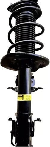 2x Front Shock Absorber Strut Assys Magnetic Compatible For Ford Mustang Shelby GT350 2015- in Saudi Arabia