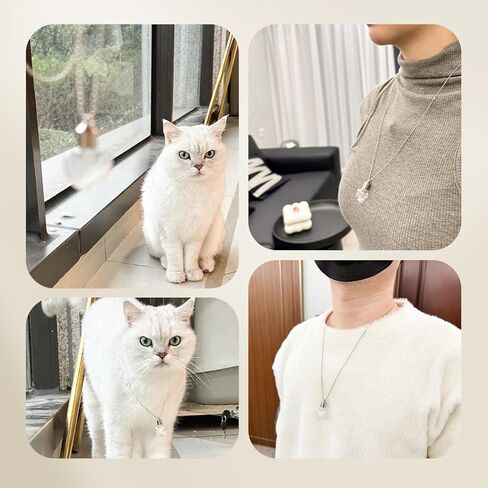 قلادة تذكارية من فراء الحيوانات الأليفة، قلادة تذكار لرماد الكلب، دائرة زجاجية شفافة قلادة على شكل جرة صغيرة للحيوانات الأليفة، مجوهرات تذكارية للنساء والرجال، قلادة قارورة للرماد، هدايا تذكارية لشعر القطط (كلب) in Kuwait