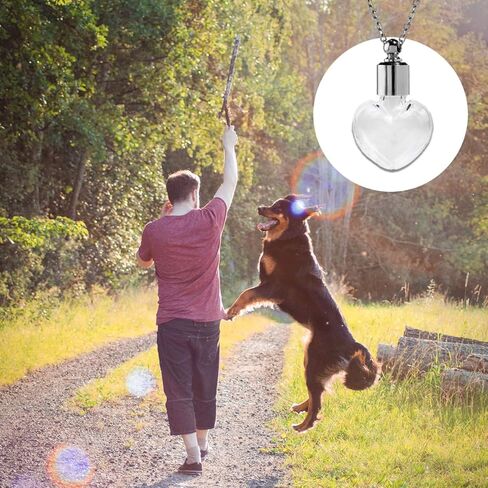 قلادة تذكارية من فراء الحيوانات الأليفة، قلادة تذكار لرماد الكلب، دائرة زجاجية شفافة قلادة على شكل جرة صغيرة للحيوانات الأليفة، مجوهرات تذكارية للنساء والرجال، قلادة قارورة للرماد، هدايا تذكارية لشعر القطط (كلب) in Kuwait