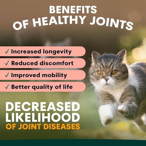 Urinary and Kidney Powder Supplement for Cats - Cranberry, Nettle Seed, D-Mannose for Cat UTI Treatment, Urinary Tract Health, and Kidney Care - Fast UTI Relief & Prevention - 60 Scoops in Saudi Arabia