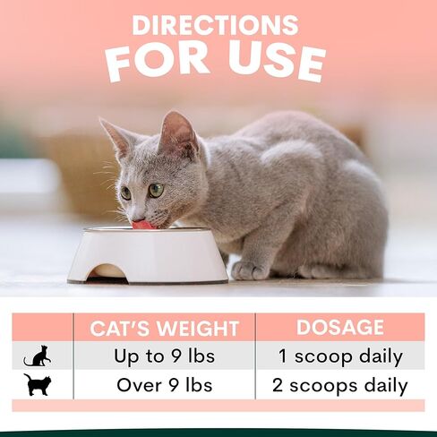 Urinary and Kidney Powder Supplement for Cats - Cranberry, Nettle Seed, D-Mannose for Cat UTI Treatment, Urinary Tract Health, and Kidney Care - Fast UTI Relief & Prevention - 60 Scoops in Saudi Arabia