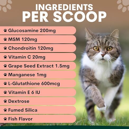Urinary and Kidney Powder Supplement for Cats - Cranberry, Nettle Seed, D-Mannose for Cat UTI Treatment, Urinary Tract Health, and Kidney Care - Fast UTI Relief & Prevention - 60 Scoops in Saudi Arabia