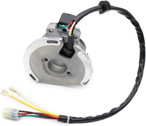 Accessories Motorcycle Stator Coil Fits For 125 250 300 200 in Saudi Arabia