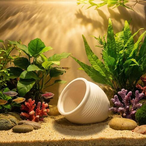 RUIAN Ceramic Fish Tank Decorations, Mushroom House and Cave with Round Cave for Small Shrimp to Rest and Breed,Hiding, Cichlid, Hermit Crabs (Beige) in Kuwait