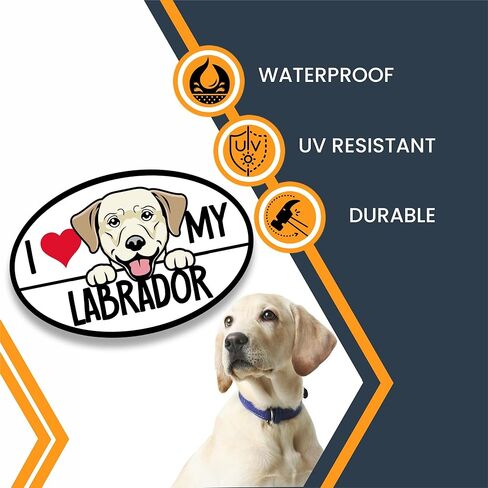 ملصق السيارة المغناطيسي Magnet Me Up I Love My Labrador، بيضاوي 4 × 6 بوصات، هدية مثالية لمحبي الكلاب لعشاق سلالات الكلاب اللابرادور، للسيارة والثلاجة والخزائن وأي سطح مغناطيسي، صُنع في الولايات المتحدة الأمريكية in Kuwait