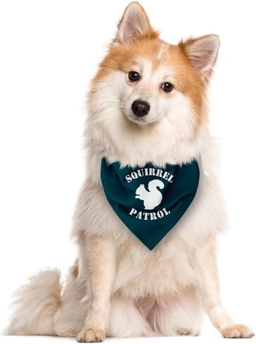 Squirrel Patrol Dog Bandana, Brown Dog Bandana, Funny Cute Dog Bandana, Dog Squirrel Bostume, Squirrel Costume for Dogs, Pet Dog Triangle Scarf, Dog Bandana for Small Medium Large Dogs (F43) in Saudi Arabia