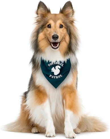 Squirrel Patrol Dog Bandana, Brown Dog Bandana, Funny Cute Dog Bandana, Dog Squirrel Bostume, Squirrel Costume for Dogs, Pet Dog Triangle Scarf, Dog Bandana for Small Medium Large Dogs (F43) in Saudi Arabia