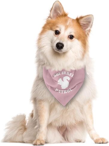 Squirrel Patrol Dog Bandana, Brown Dog Bandana, Funny Cute Dog Bandana, Dog Squirrel Bostume, Squirrel Costume for Dogs, Pet Dog Triangle Scarf, Dog Bandana for Small Medium Large Dogs (F43) in Saudi Arabia