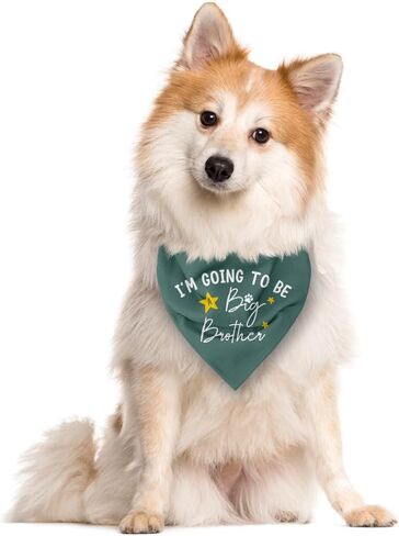 I'm Going to Be a Big Brother Dog Bandana, Baby Blue Dog Bandana, Dog Bandana Pregnancy Announcement, Gender Reveal Dog Bandana, Baby Announcement Dog Bandana, Big Brother Dog Shirt (F15) in Saudi Arabia