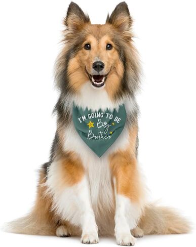 I'm Going to Be a Big Brother Dog Bandana, Baby Blue Dog Bandana, Dog Bandana Pregnancy Announcement, Gender Reveal Dog Bandana, Baby Announcement Dog Bandana, Big Brother Dog Shirt (F15) in Saudi Arabia