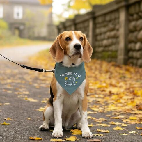 I'm Going to Be a Big Brother Dog Bandana, Baby Blue Dog Bandana, Dog Bandana Pregnancy Announcement, Gender Reveal Dog Bandana, Baby Announcement Dog Bandana, Big Brother Dog Shirt (F15) in Saudi Arabia