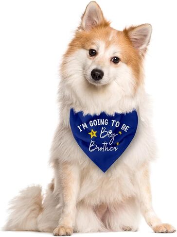 I'm Going to Be a Big Brother Dog Bandana, Baby Blue Dog Bandana, Dog Bandana Pregnancy Announcement, Gender Reveal Dog Bandana, Baby Announcement Dog Bandana, Big Brother Dog Shirt (F15) in Saudi Arabia