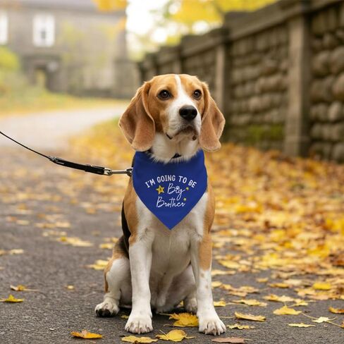 I'm Going to Be a Big Brother Dog Bandana, Baby Blue Dog Bandana, Dog Bandana Pregnancy Announcement, Gender Reveal Dog Bandana, Baby Announcement Dog Bandana, Big Brother Dog Shirt (F15) in Saudi Arabia