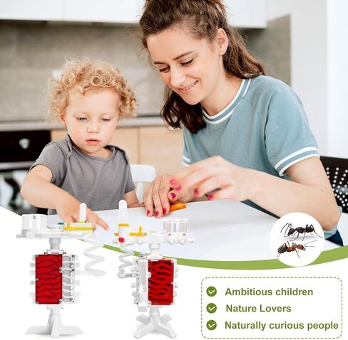 Ant Farm Castle 3D Printed Ant Farms Habitat Ant Colony for Kids, Adults, Student Acrylic Terrarium Nest with Connecting Tubes for Ant Behavior Study and Educational & Learning Science Viewing Kit in Saudi Arabia