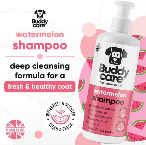 Shed Control Dog Shampoo by Buddycare | Aloe & Lemongrass Scented | with Aloe Vera and Pro Vitamin B5 (16.90oz) in Kuwait