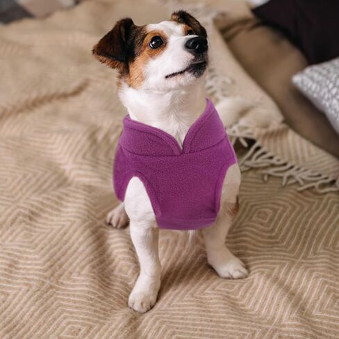 2 Pcs Dog Fleece Vest Sweater Winter Warm Dog Sleeveless Jacket Soft Pullover Fleece Cold Weather Coat Hoodie with D-Ring Leash for Small Medium Dogs Unisex in Saudi Arabia