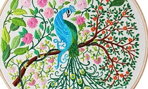 Hand Embroidery Kits for with Pattern, Full Range of Embroidery Starter Kit with Pattern for Lovedfull [Secret Garden - Peacock] in Saudi Arabia