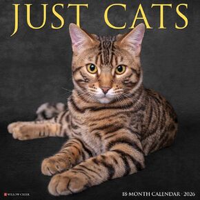 Willow Creek Press، تقويم حائط Just Cats 2026، 12 بوصة × 12 بوصة، تقويم 18 شهرًا مع غلاف مثبت in Kuwait