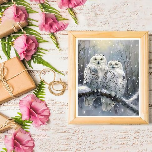 LAENAKR Owl Paint by Numbers Kit for Adults Winter Paint by Numbers, DIY Hobbies for Women Adult Crafts Canvas Paintings with 3 Brushes and Accessoriess, Home Wall Decor Gifts 16x20in Without Frame in Saudi Arabia