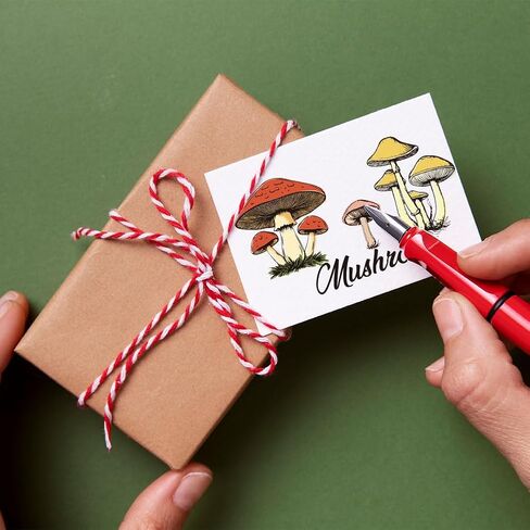 1 Sheet Clear Stamp, Mushroom Retro Rubber Clear Stamps Transparent Silicone Stamps Seal for DIY Scrapbooking Card Making Decoration, 6.3x4.3 Inches in Saudi Arabia