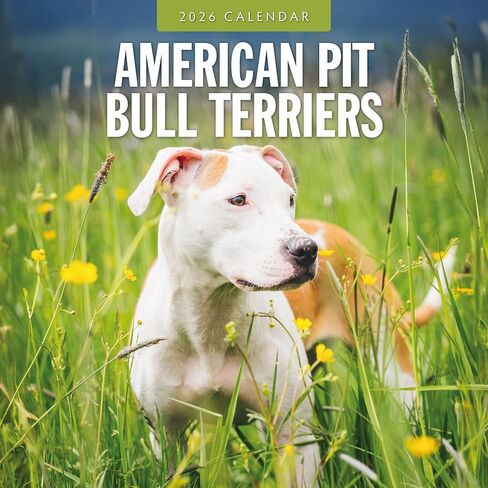 Red Robin 2026 American Pit Bull Terriers Monthly Wall Calendar | 12" x 24" Open | Premium Thick & Sturdy Paper | Hangable 12 Month Calendar | Lined Notes & To Do Area | Vivid Images | Plastic Free in Saudi Arabia