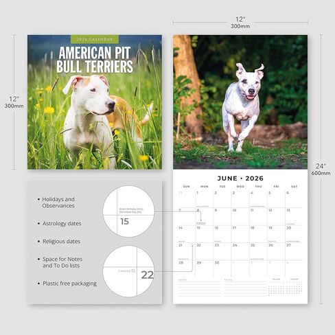 Red Robin 2026 American Pit Bull Terriers Monthly Wall Calendar | 12" x 24" Open | Premium Thick & Sturdy Paper | Hangable 12 Month Calendar | Lined Notes & To Do Area | Vivid Images | Plastic Free in Saudi Arabia