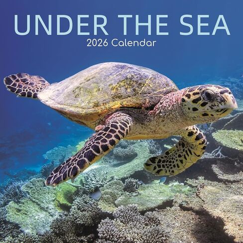 The Gifted Stationery 2026 Square Wall Calendar - 16-Month Square Calendar 2026 with Stickers & Under-Sea Artwork - Hanging Home Wall Planner & Month Planner - Sep 2025-Dec 2026, 12 x 12 in in Saudi Arabia