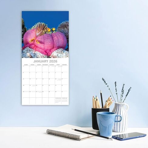 The Gifted Stationery 2026 Square Wall Calendar - 16-Month Square Calendar 2026 with Stickers & Under-Sea Artwork - Hanging Home Wall Planner & Month Planner - Sep 2025-Dec 2026, 12 x 12 in in Saudi Arabia
