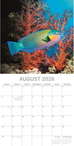 The Gifted Stationery 2026 Square Wall Calendar - 16-Month Square Calendar 2026 with Stickers & Under-Sea Artwork - Hanging Home Wall Planner & Month Planner - Sep 2025-Dec 2026, 12 x 12 in in Saudi Arabia