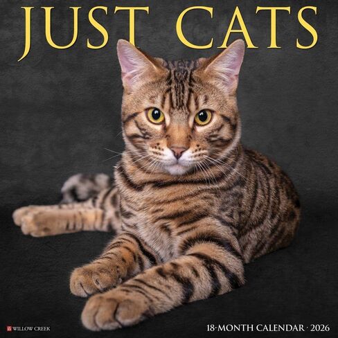 Willow Creek Press، تقويم حائط Just Cats 2026، 12 بوصة × 12 بوصة، تقويم 18 شهرًا مع غلاف مثبت in Saudi Arabia