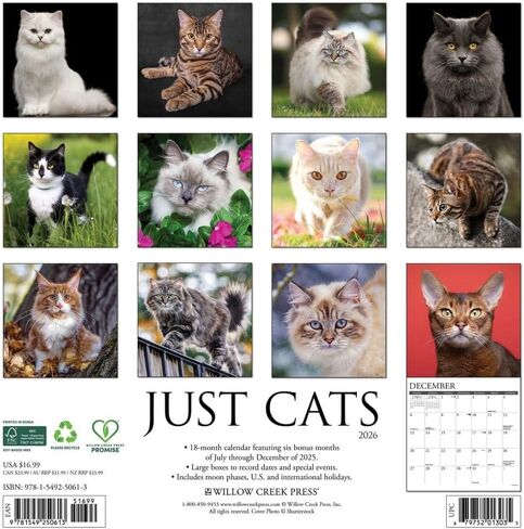 Willow Creek Press، تقويم حائط Just Cats 2026، 12 بوصة × 12 بوصة، تقويم 18 شهرًا مع غلاف مثبت in Saudi Arabia