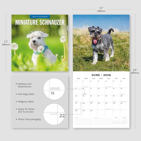 Red Robin 2026 Miniature Schnauzers Monthly Wall Calendar | 12" x 24" Open | Premium Thick & Sturdy Paper | Hangable 12 Month Calendar | Lined Notes & To Do Area | Vivid Images | Plastic Free in Saudi Arabia