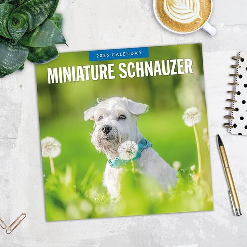 Red Robin 2026 Miniature Schnauzers Monthly Wall Calendar | 12" x 24" Open | Premium Thick & Sturdy Paper | Hangable 12 Month Calendar | Lined Notes & To Do Area | Vivid Images | Plastic Free in Saudi Arabia